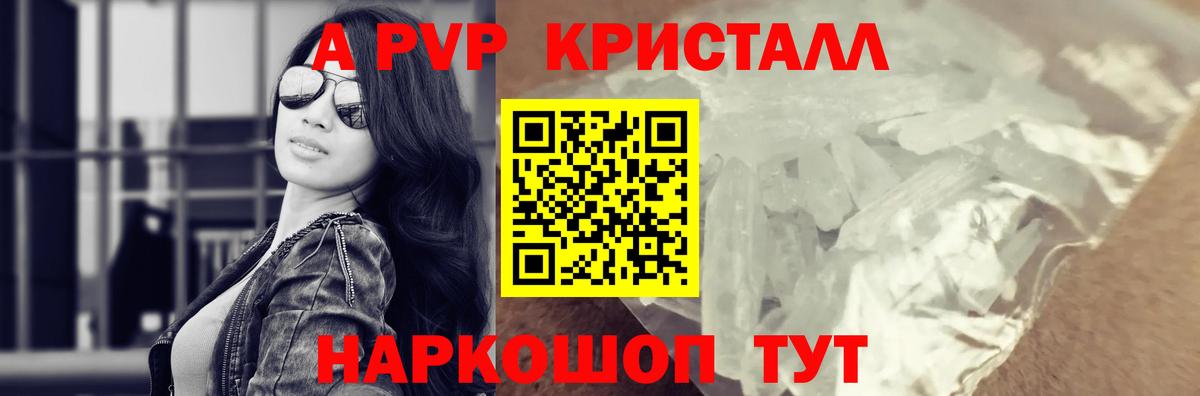 Альфа ПВП СК КРИС Карачаевск