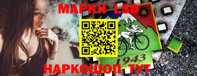 стафф Кандалакша
