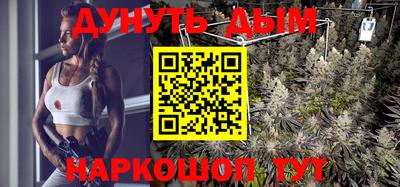 стафф Кандалакша