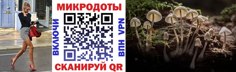 shop формула Карачаевск Галлюциногенные грибы Psilocybe как найти закладки