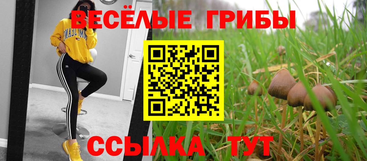 Псилоцибиновые грибы мухоморы  Галлюциногенные грибы ЛСД  Карачаевск  Вход с VPN 