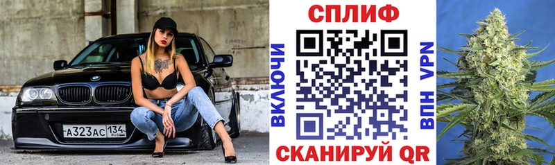 мега как зайти  Карачаевск  МАРИХУАНА Ganja  где продают наркотики 